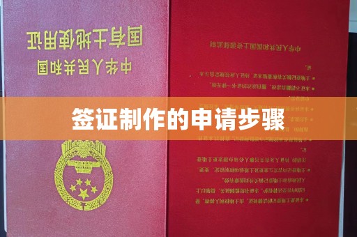 崇明签证制作的申请步骤