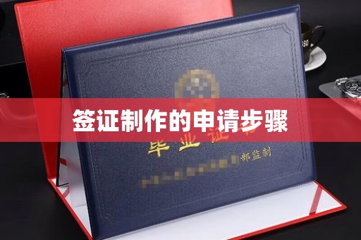 崇明签证制作的申请步骤