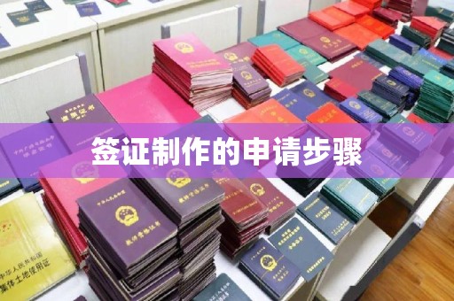 崇明签证制作的申请步骤
